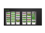 Display Type Plant Factory