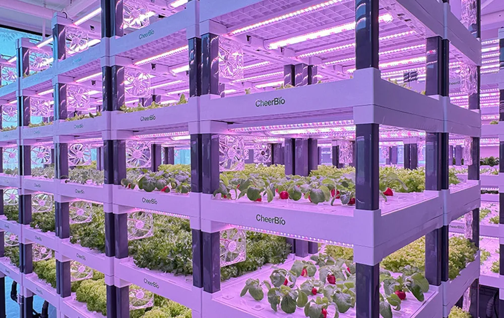 17285234-e407-4e55-b763-df045351465f.jpg_1180xaf_result-1759504887