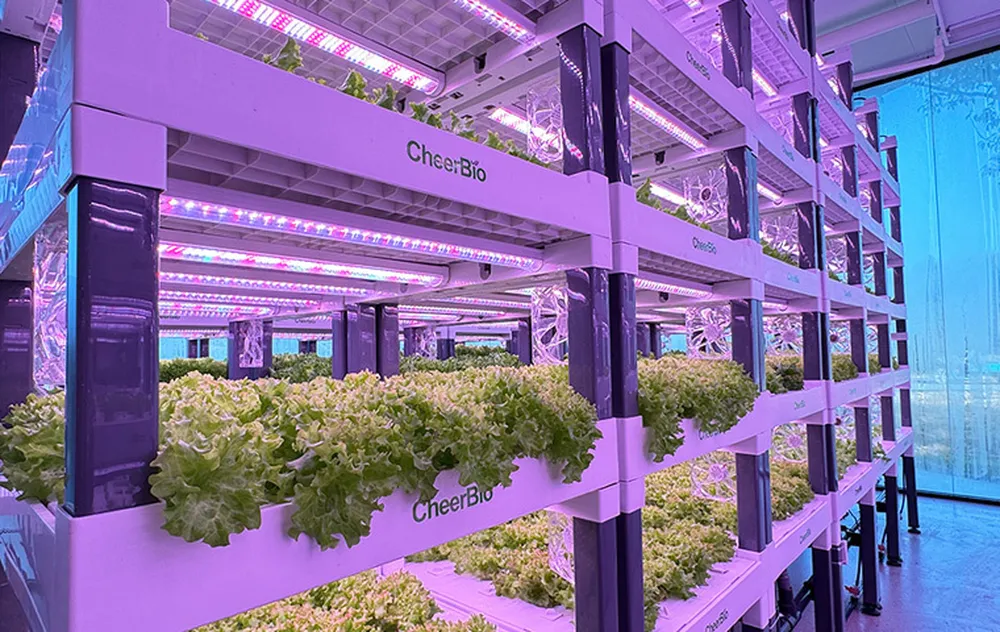 4cd27bcb-2c33-44af-b0c4-ebc0e3a161d6.jpg_1180xaf_result-1759504884