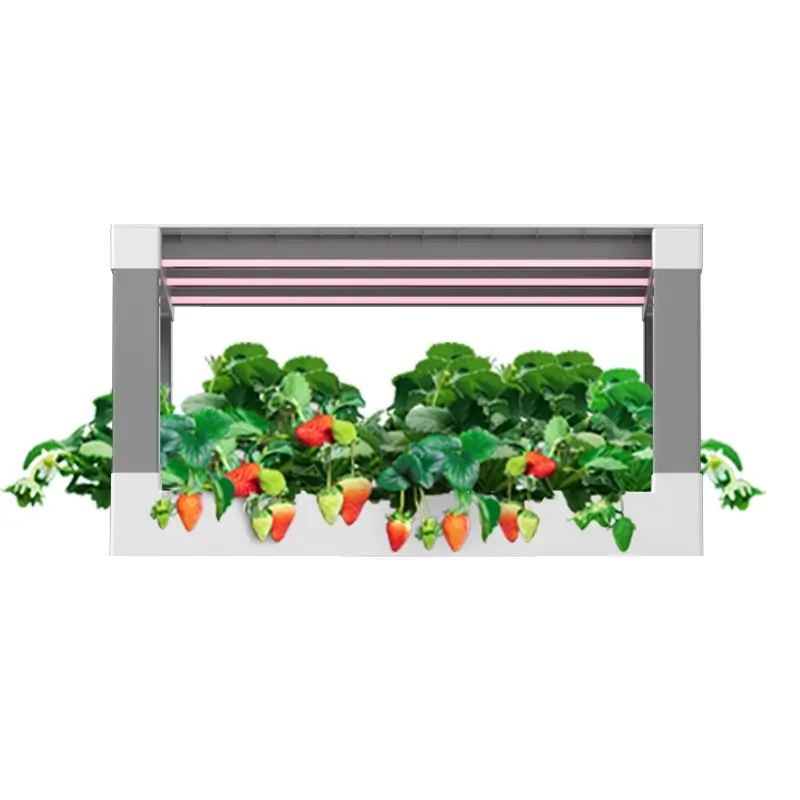 Product_plant module category