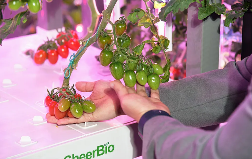 e338bda1-0358-4f9f-b4f8-d22acdcfe19c.jpg_1180xaf_result-1759504888